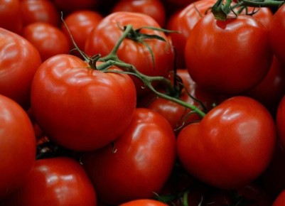 Тайны китайского способа выращивания томатов раскрыты