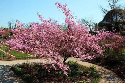 ����� ��������: ��� ��������� ������� � ����