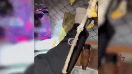 ������������ �������� ����� ������������ �� ����������� ������������ � ����������� �