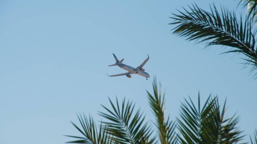 ��� ������ ���������� ��������� ����� ������� � �������� �������