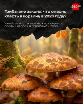 ��������� ����� � �����������? �������, ����� ���� ������ ��� ������� ������ � 2024-2026 �����, ����� �� �������� �����