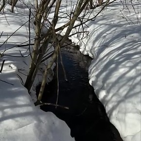 ����� ���������� ������� ����� � ��������!