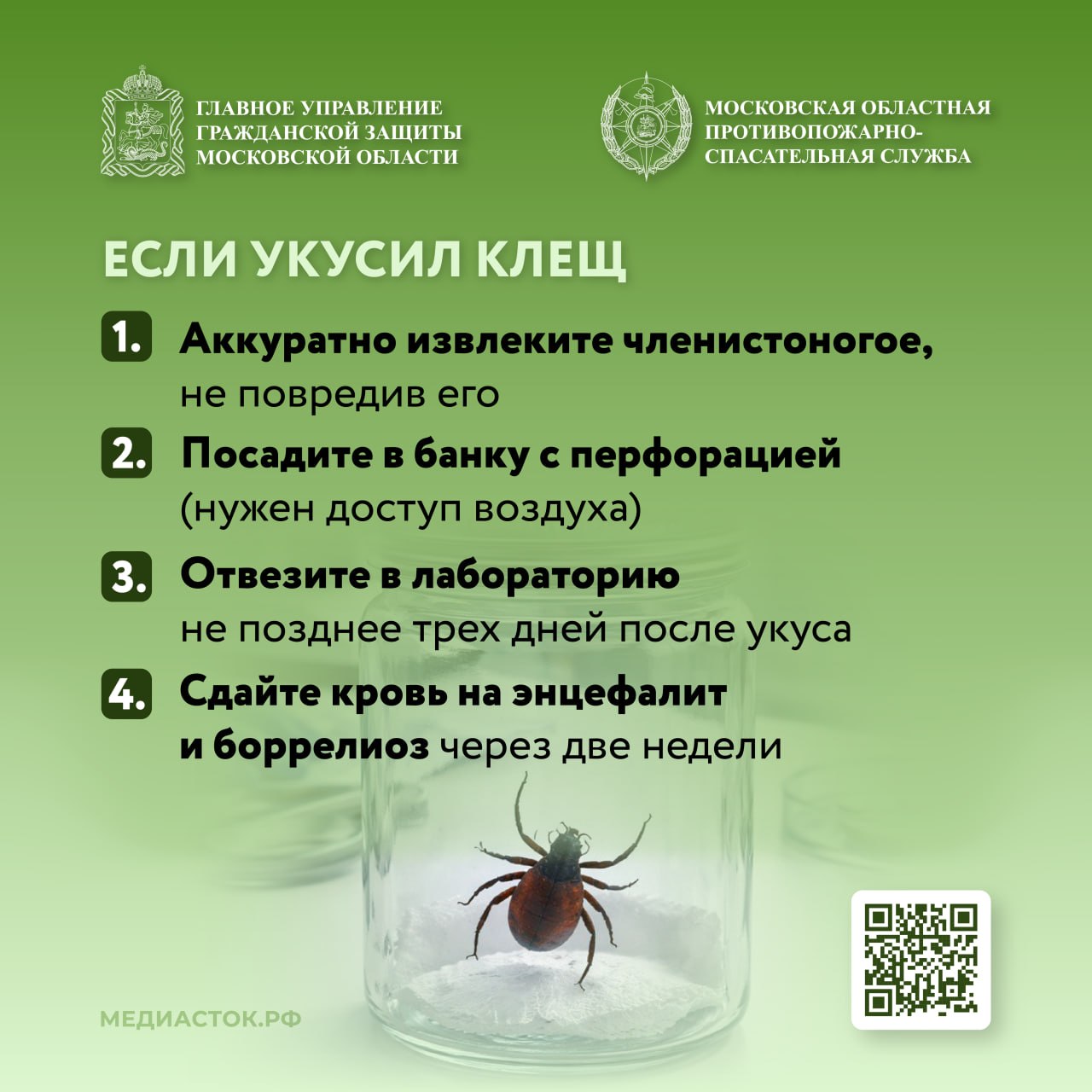 В России сезон активности клещей начался раньше обычного из-за обильного снежного покрова и отсутствия устойчивых морозов зимой, а также из-за резкого весеннего потепления В России сезон активности клещей начался раньше обычного из-за обильного снежного покрова и отсутствия устойчивых морозов зимой, а также из-за резкого весеннего потепления