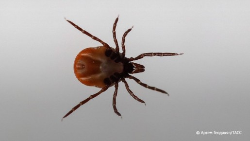 � ����������� ������������ � ������ ������ ���������� ������