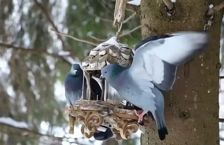 ������ ����, ��������!. ������� ���� ��������� �� +7�C, ������� � ������������