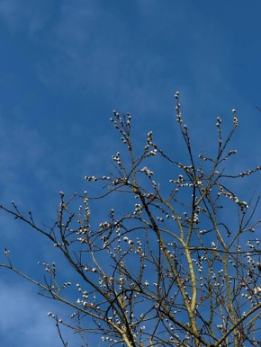 Доброе понедельничное, домодедовцы!