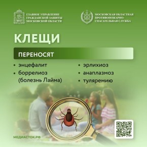 � ������ ����� ���������� ������ ������� ������ �������� ��-�� ��������� �������� ������� � ���������� ���������� ������� �����, � ����� ��-�� ������� ��������� ����������