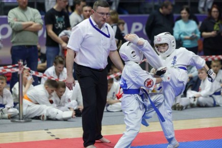 Более 470 спортсменов показали силу и технику на подольском ковре