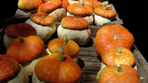 ����� �������� ������: ������������ ��������� ��� ��������