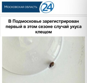 �� ����������� ��������������� ������ � ���� ������ ������ ����� ������: ����� ���������� � ��� �������� �������� �� ���������� ����