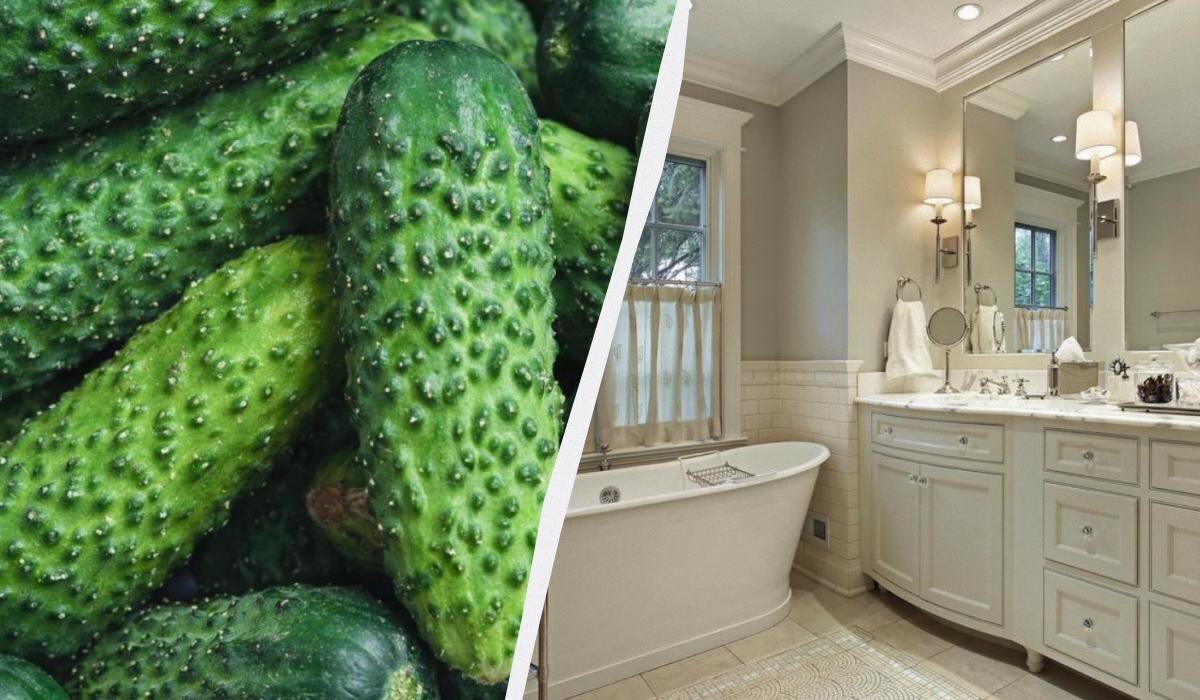 Почему огурец в ванной стал настоящим спасением для хозяйок