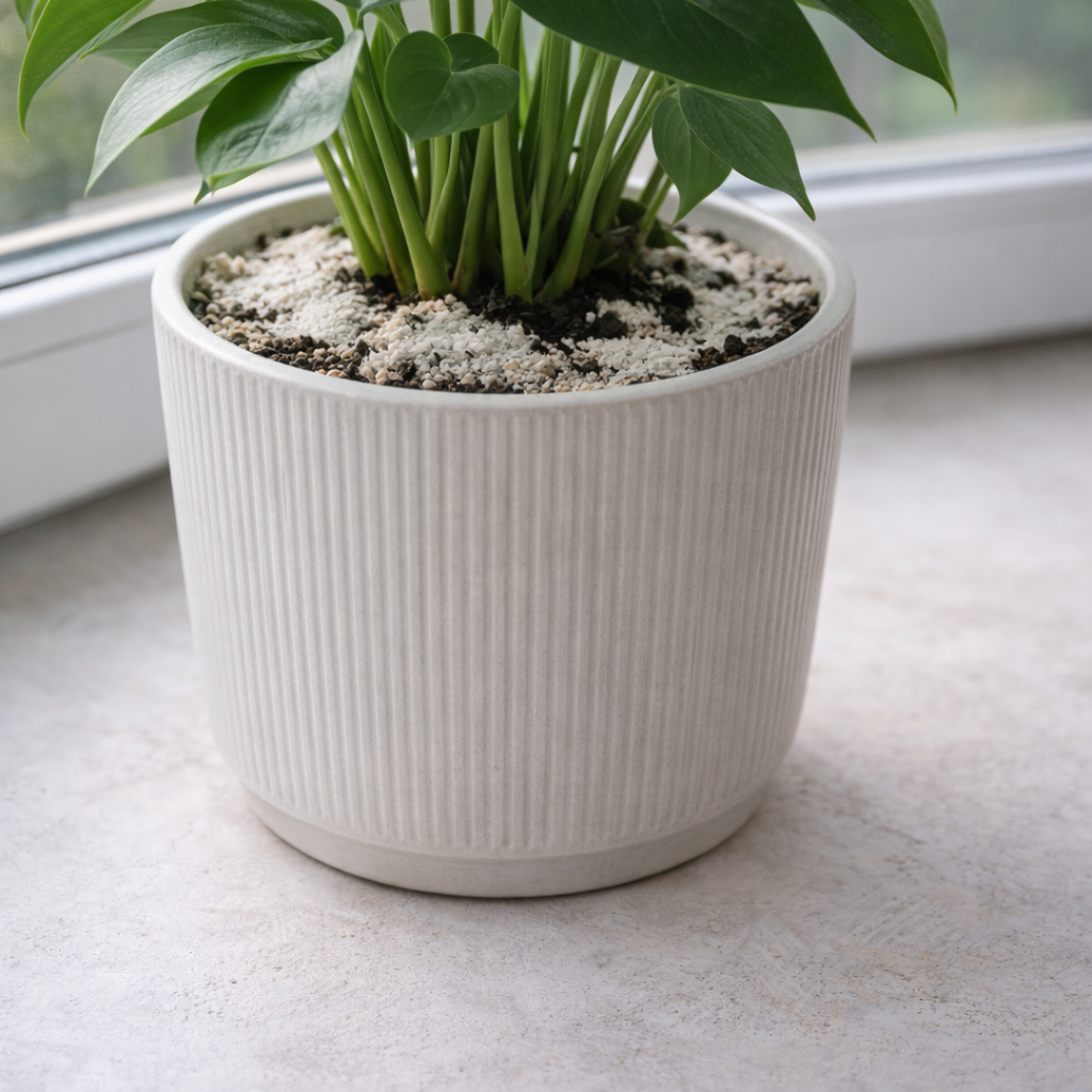 Почему белый налёт на почве — это не повод для паники