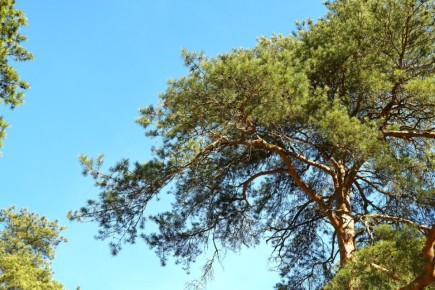 � ���� ��� ������� ����� � ���� �� ������� ����������