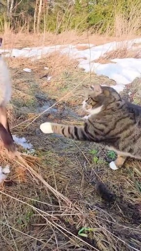 ���������� ����� ������� ����� ����� ������ ���� � �����