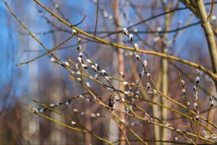 ������ ����, �����������!. ������� 25 �����, �����