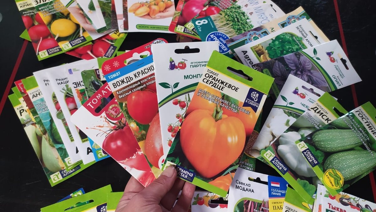 Декабрь на огороде: что нужно сделать, чтобы подготовиться к весне