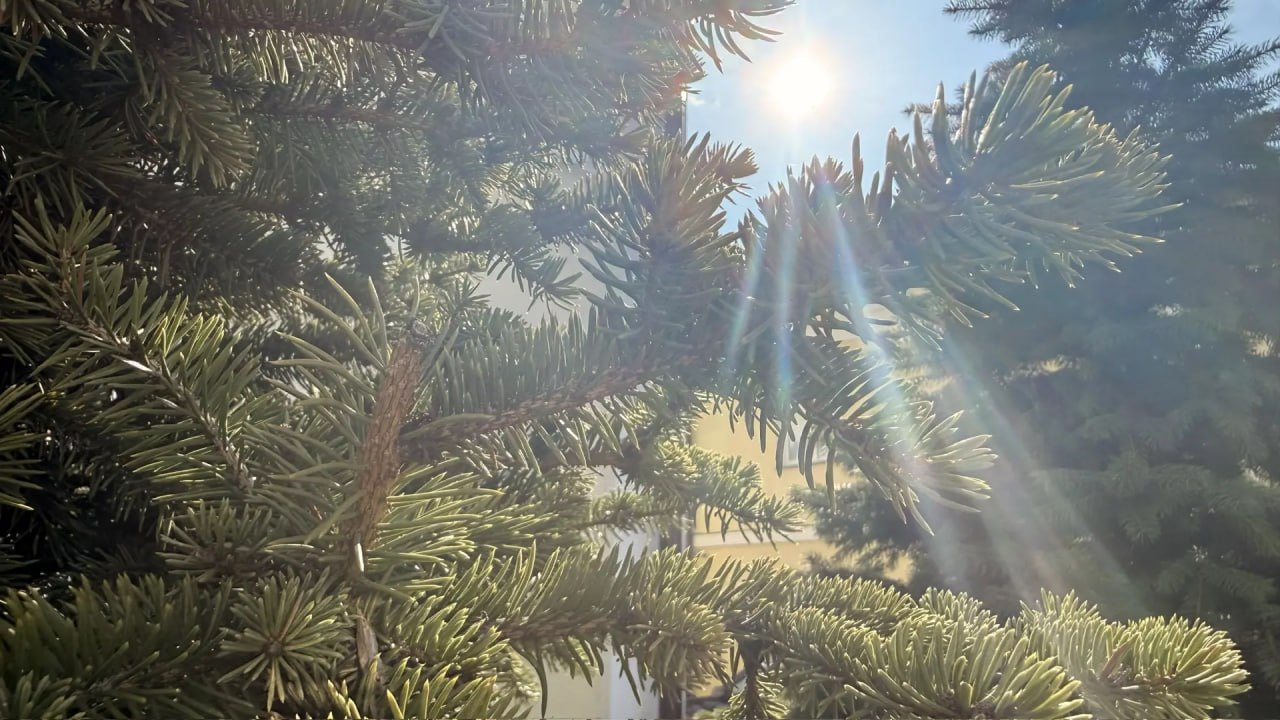 Хорошая погода и 20 лет «Одноклассникам»: день начинается отлично!