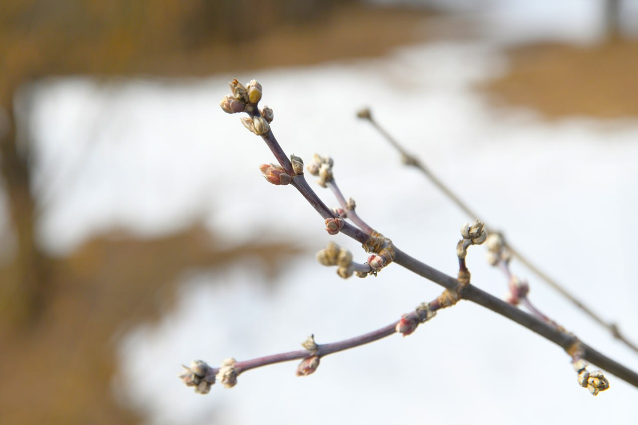 Ваша лучшая роль уже написана жизнью