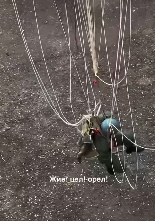 Мужицкий дождь: парашютист свалился с неба прямо во двор в Ессентуках