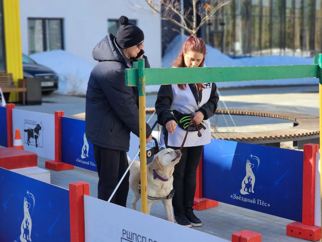 Преподаватели Российской школы подготовки собак-проводников ВОС провели показательные выступления и практические занятия для ветеранов СВО в центре Мещерякова Преподаватели Российской школы подготовки собак-проводников ВОС провели показательные выступления и практические занятия для ветеранов СВО в центре Мещерякова