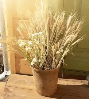 Доброе утро, Серпухов!. Сегодня днём до +10°C, переменная облачность, отличная погода для прогулок