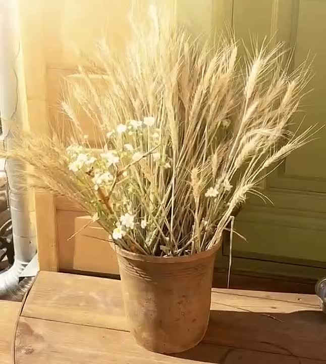 Доброе утро, Серпухов!. Сегодня днём до +10°C, переменная облачность, отличная погода для прогулок