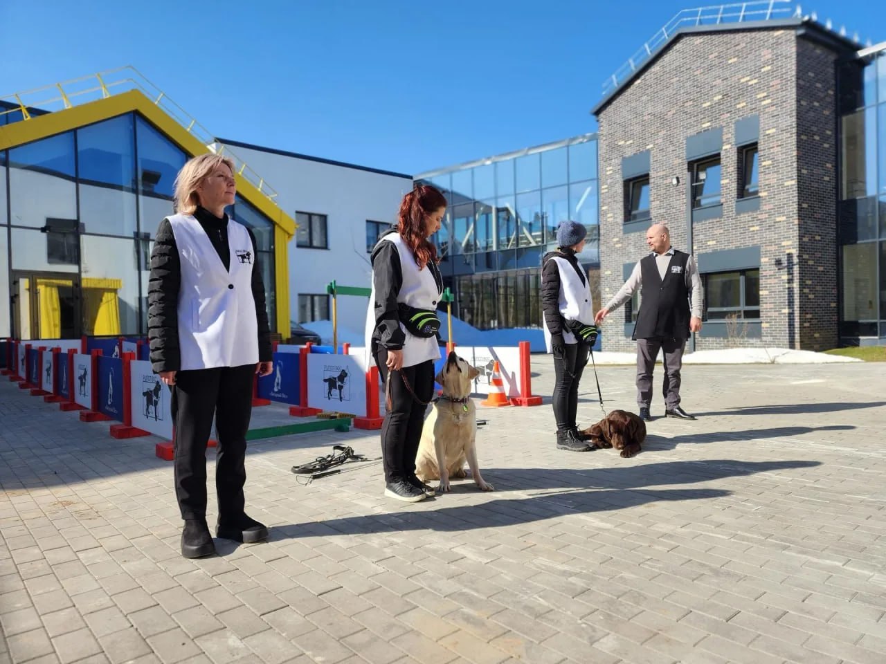 Преподаватели Российской школы подготовки собак-проводников ВОС провели показательные выступления и практические занятия для ветеранов СВО в центре Мещерякова Преподаватели Российской школы подготовки собак-проводников ВОС провели показательные выступления и практические занятия для ветеранов СВО в центре Мещерякова