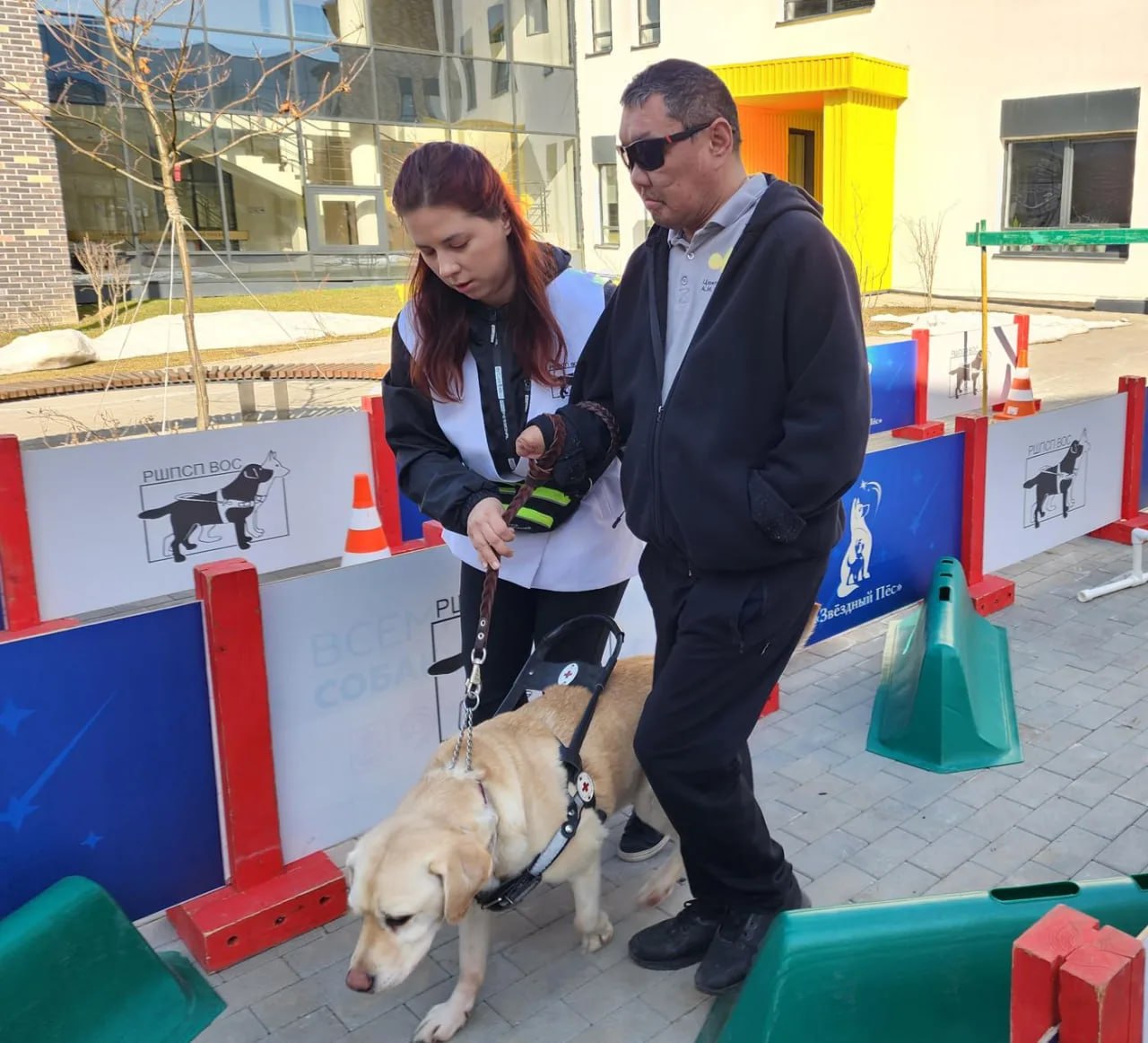 Преподаватели Российской школы подготовки собак-проводников ВОС провели показательные выступления и практические занятия для ветеранов СВО в центре Мещерякова Преподаватели Российской школы подготовки собак-проводников ВОС провели показательные выступления и практические занятия для ветеранов СВО в центре Мещерякова