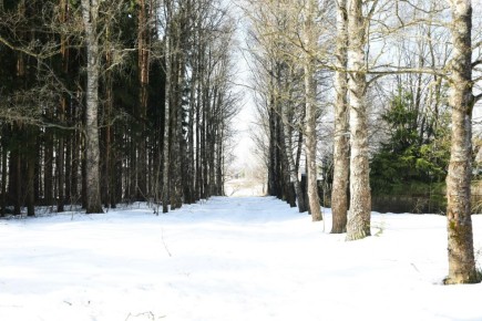 Ясная погода — время ясных мыслей