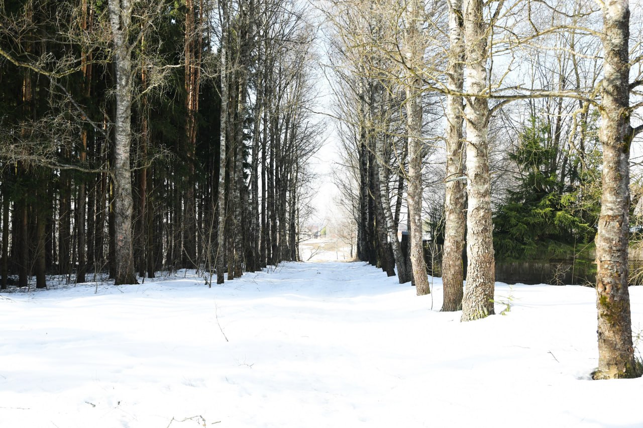 Ясная погода — время ясных мыслей