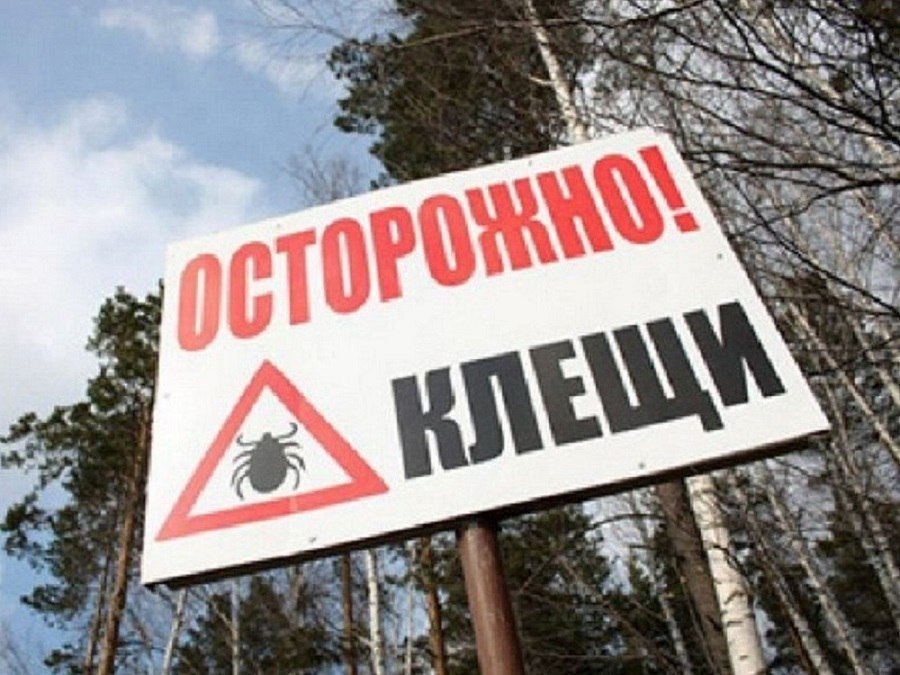 Наука в Долгопрудном: компании в сфере информатики и экономики предпочитают выпускников МФТИ Наука в Долгопрудном: компании в сфере информатики и экономики предпочитают выпускников МФТИ