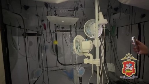 ����������, ���� ��� ������������ ������� �� ���� ����� � ������������ ������, �������� ��� ������