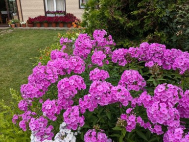 ������ ������ ����� ��� ��� � ����: ������ �� ������������� ���