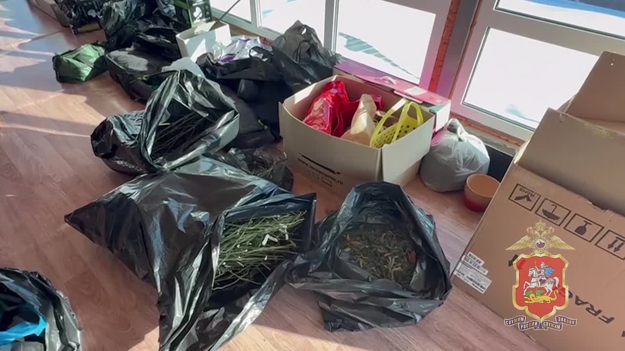 В Чехове полицейские задержали местного жителя, выращивавшего коноплю в двух частных домах