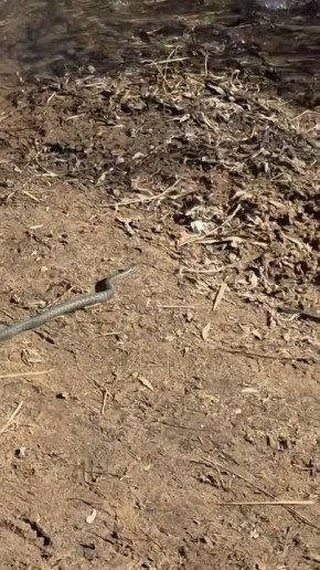 � ����������� ��-�� ���������� ���������� ������, ���� �������� ��� ������������