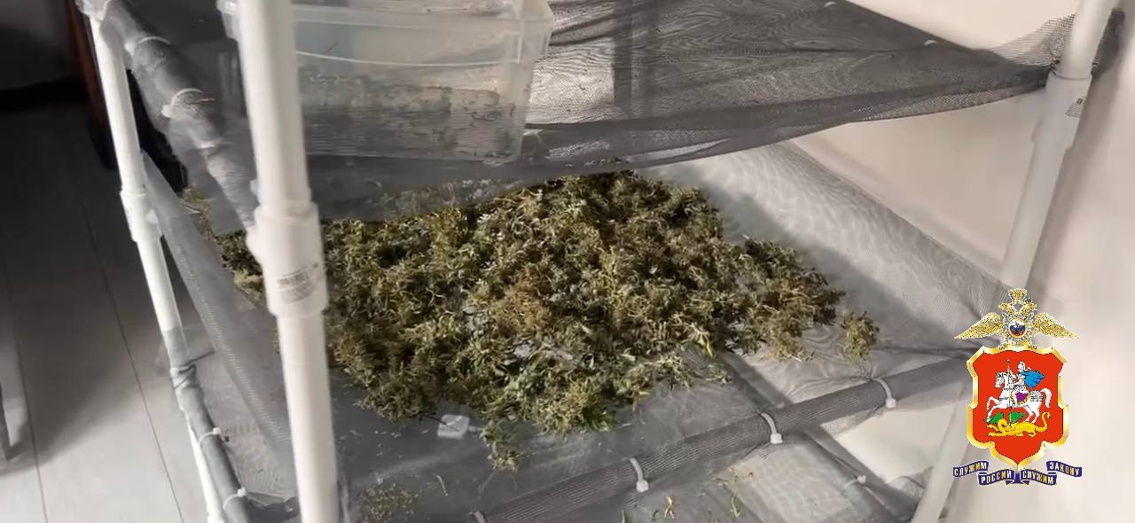 В Мытищах полицейские задержали мужчину за незаконный оборот наркотиков В Мытищах полицейские задержали мужчину за незаконный оборот наркотиков