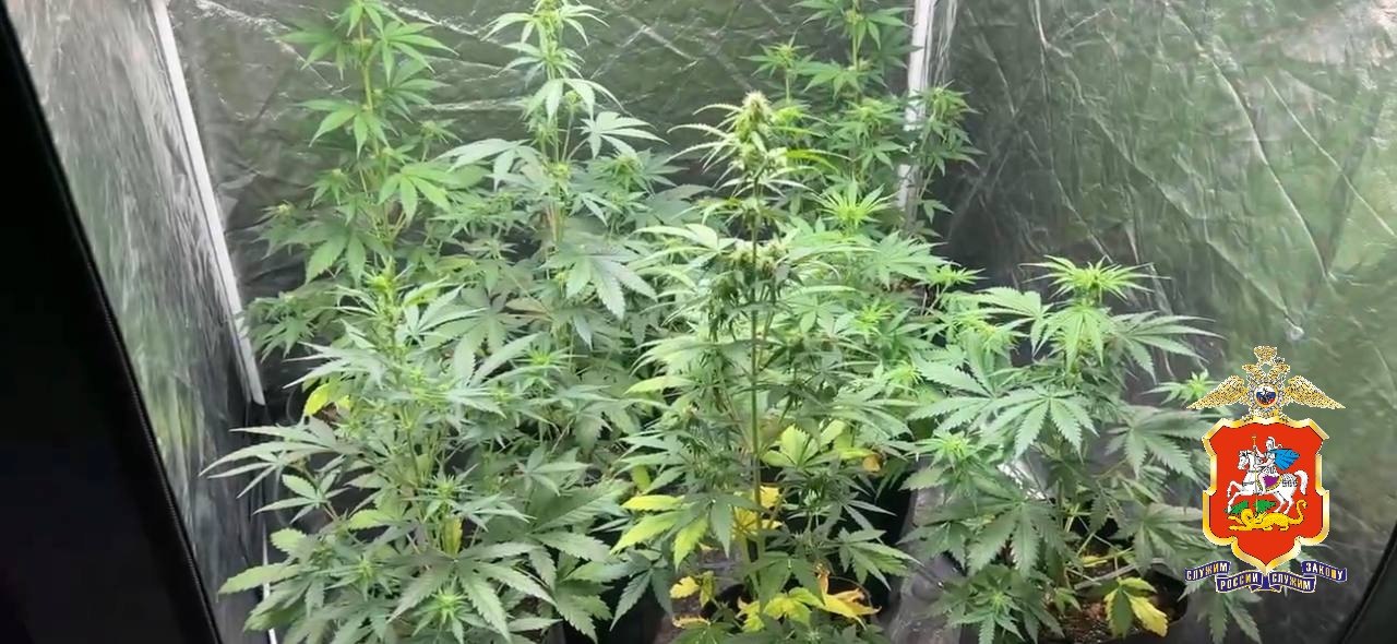 В Мытищах полицейские задержали мужчину за незаконный оборот наркотиков