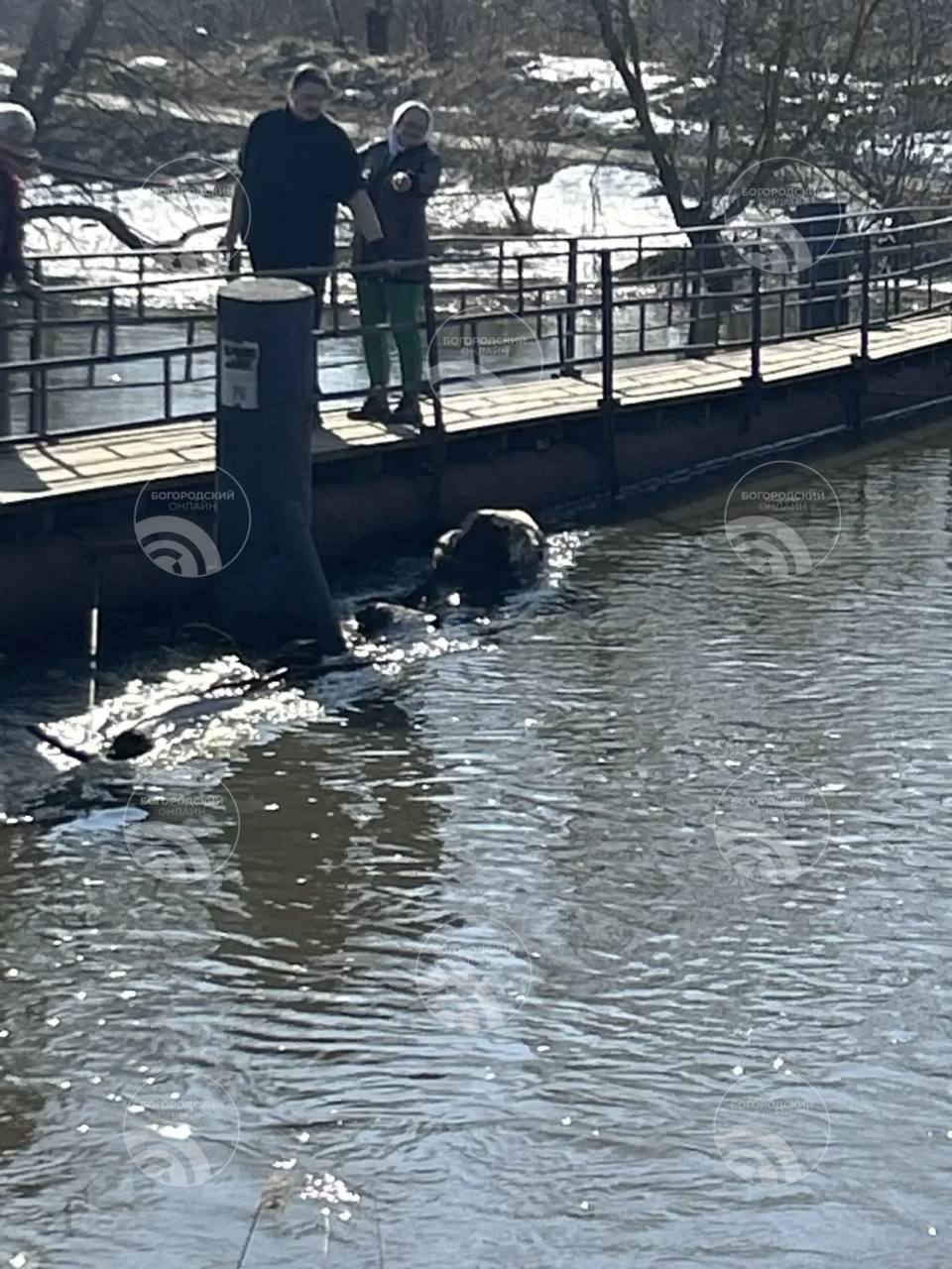 Спасатели отработали локально – весна не принесла серьёзных проблем