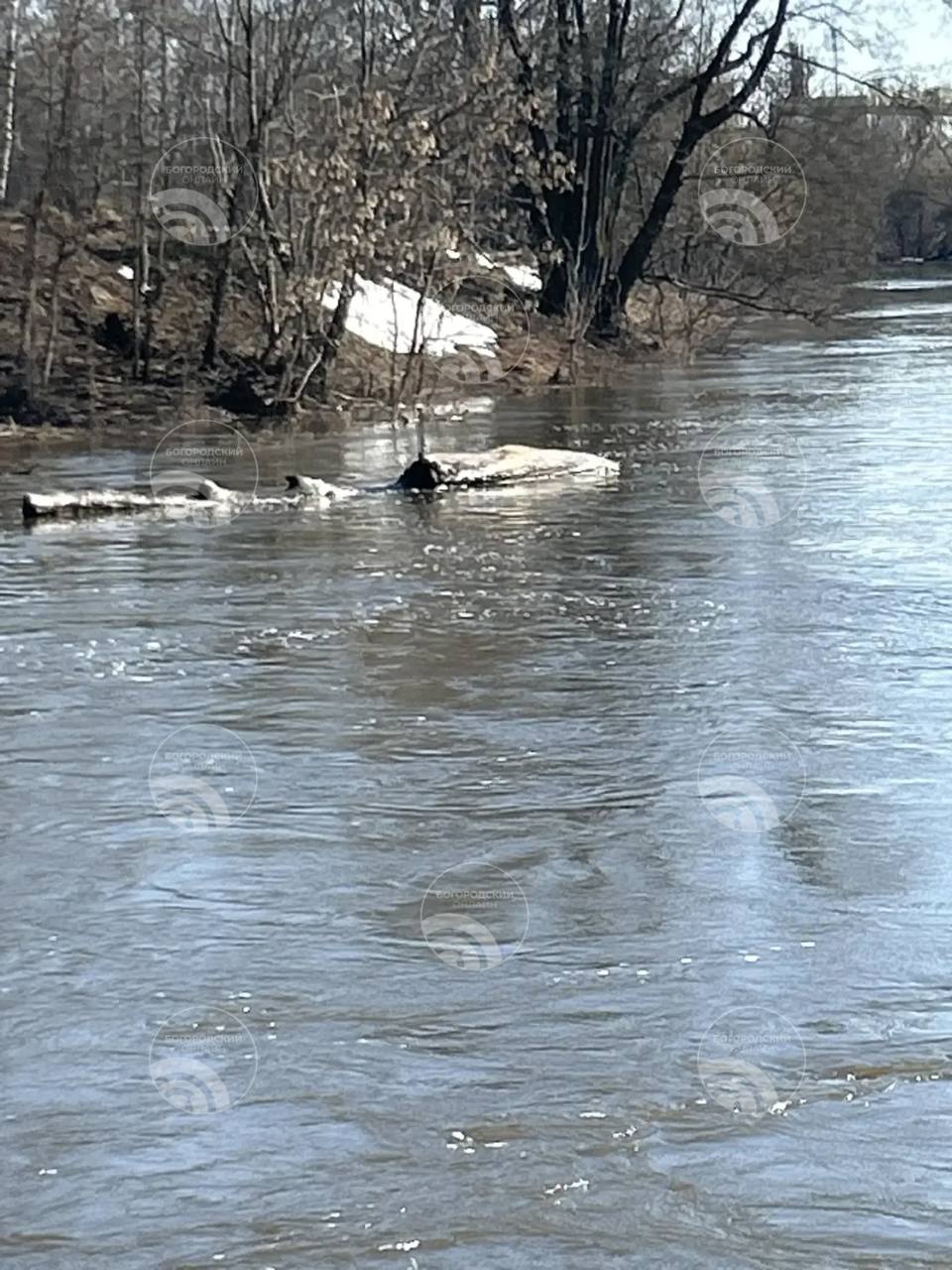Спасатели отработали локально – весна не принесла серьёзных проблем Спасатели отработали локально – весна не принесла серьёзных проблем