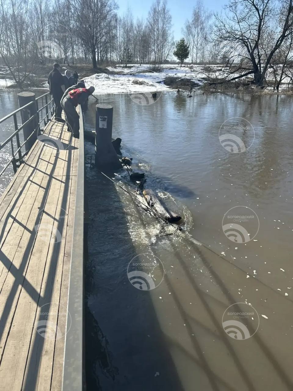 Спасатели отработали локально – весна не принесла серьёзных проблем Спасатели отработали локально – весна не принесла серьёзных проблем