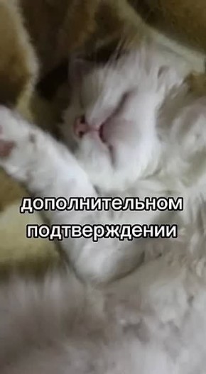 Что делать, если на вашу карту пришли деньги от незнакомца?