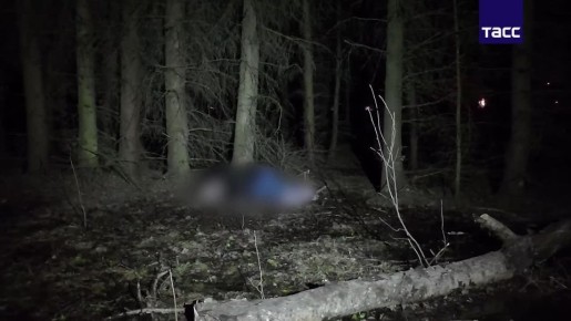 ��� �������� � �������������� ������� �� ����������� ��� � �����������: