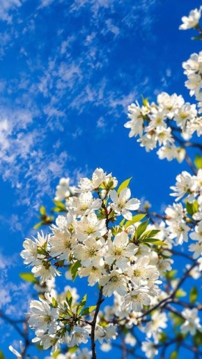 ������ ����, ��������!. ���� ��������� �� +10�C � �����