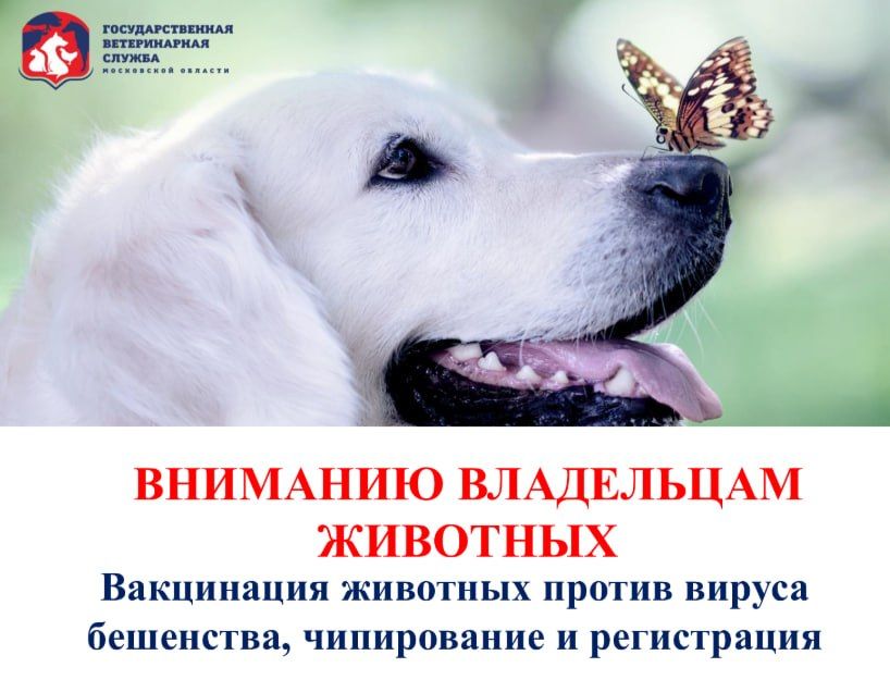 ��������������� ���������� ����������� ���������� ������� ���������������� ������������ ���������� �5� ����������� � ���, ��� �� ���������� ������������ ������ ���������� �������� ���������� ������ ��������� ��������...