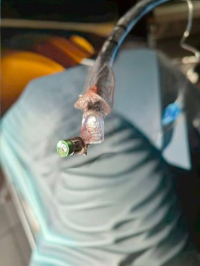 ����� ����� �������� ����������������� ��� �� ������ ��������