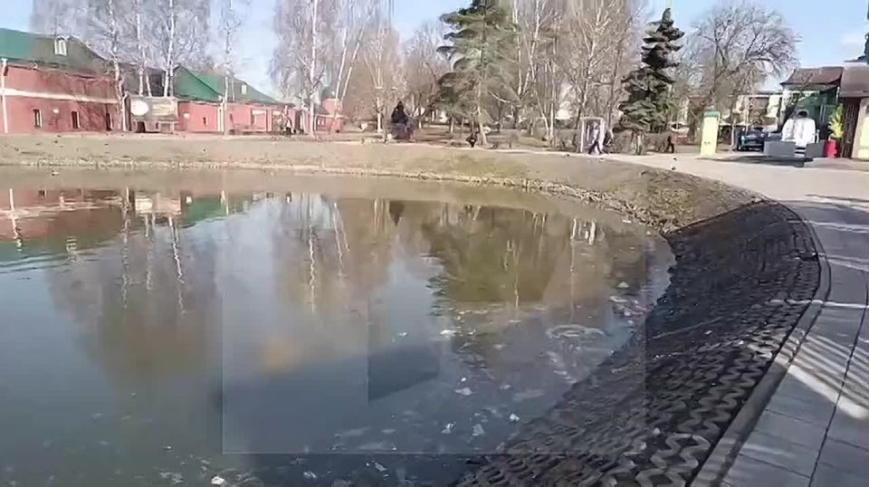 ���� ������� ���������� � ����� ����� � ������ �������� ������ � �����������, ������� �������� ��� ��