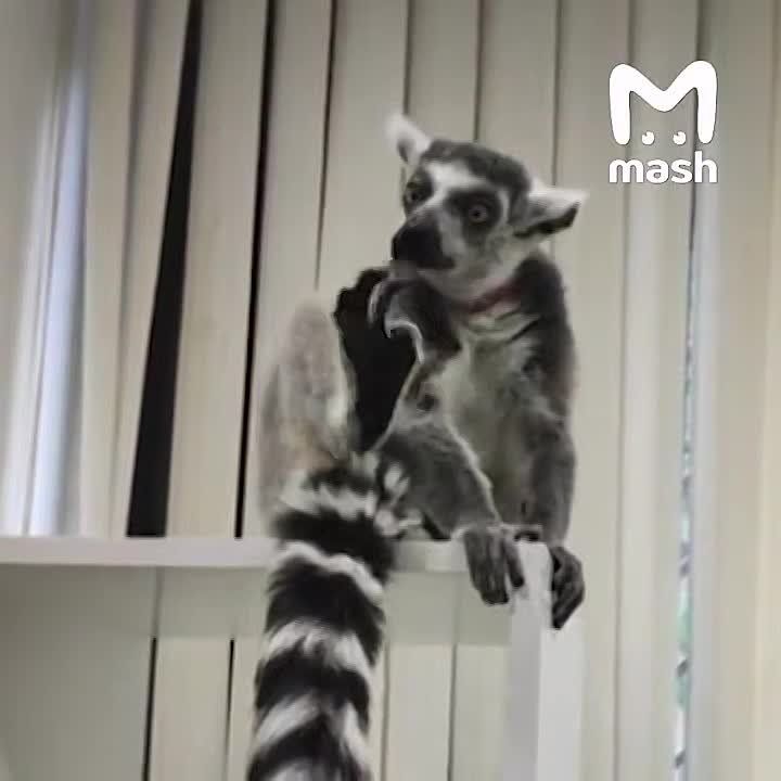 ������ ���������� �� �������� ������ � ��������� � �������