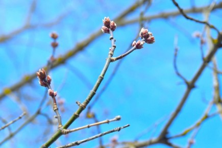 �������������� �������������