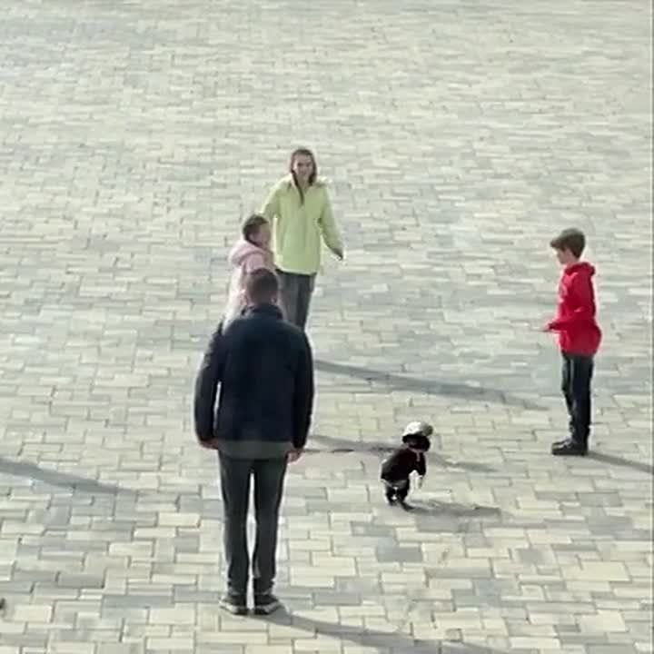 ������� ������ �� ���� ������������� ����� ���������� �������!