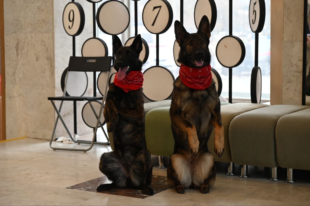 Во Дворце культуры «Россия» прошла 29-я ярмарка учебных мест Во Дворце культуры «Россия» прошла 29-я ярмарка учебных мест